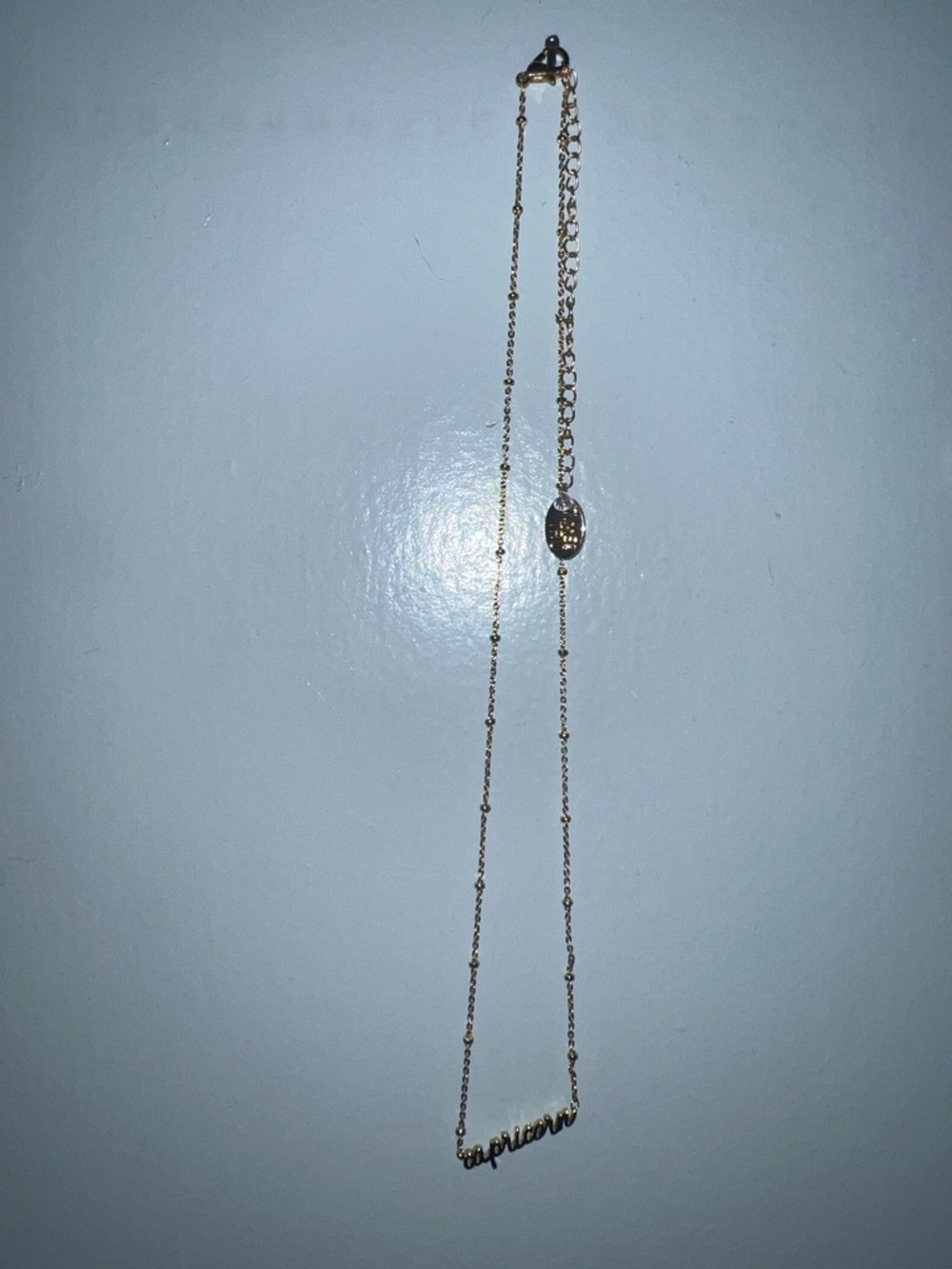 Capricorn Necklace